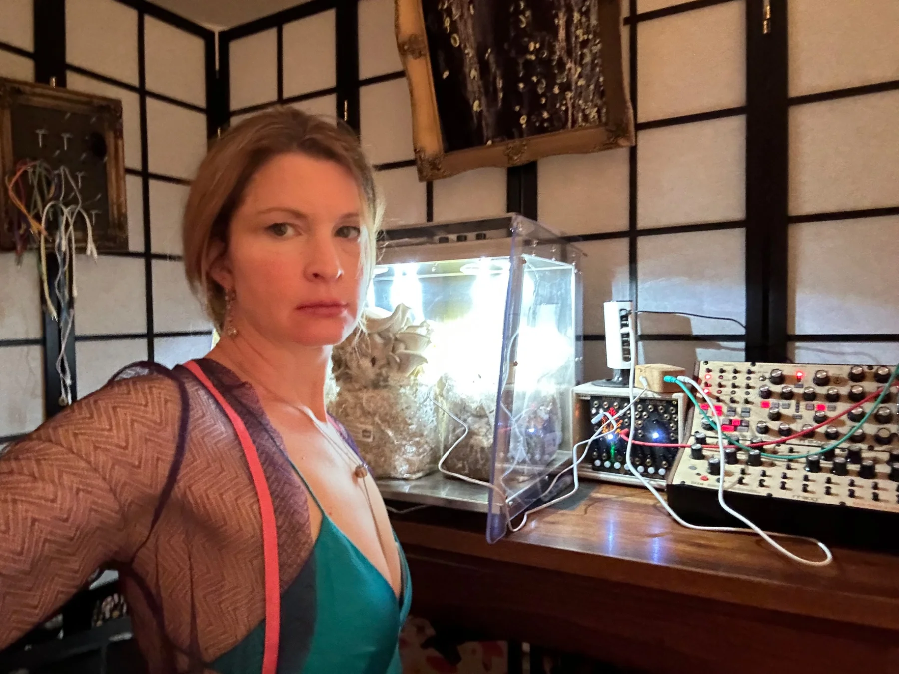 MUSHROOM MODULATIONS — performance photograph