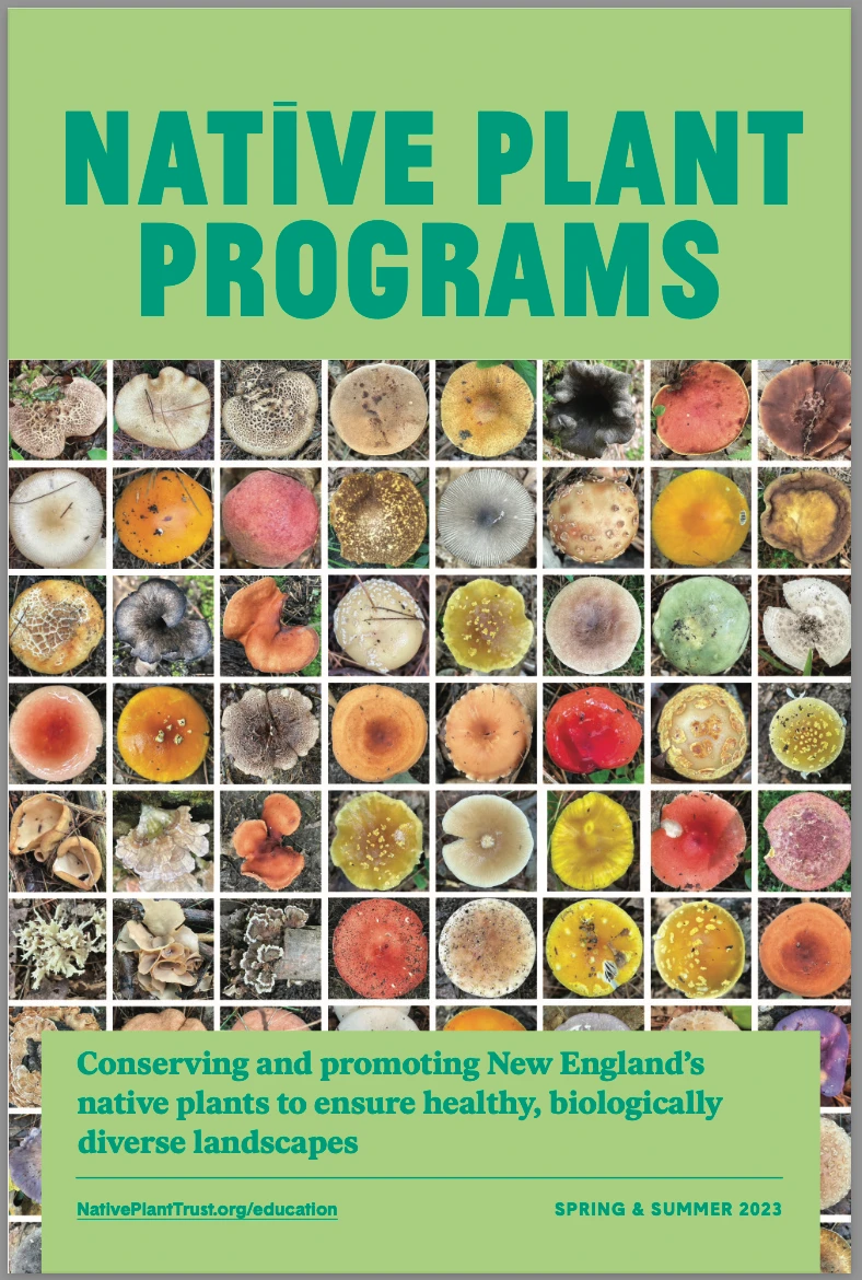 Native Plant Trust — Spring & Summer 2023
